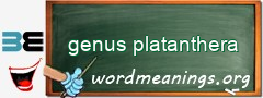 WordMeaning blackboard for genus platanthera